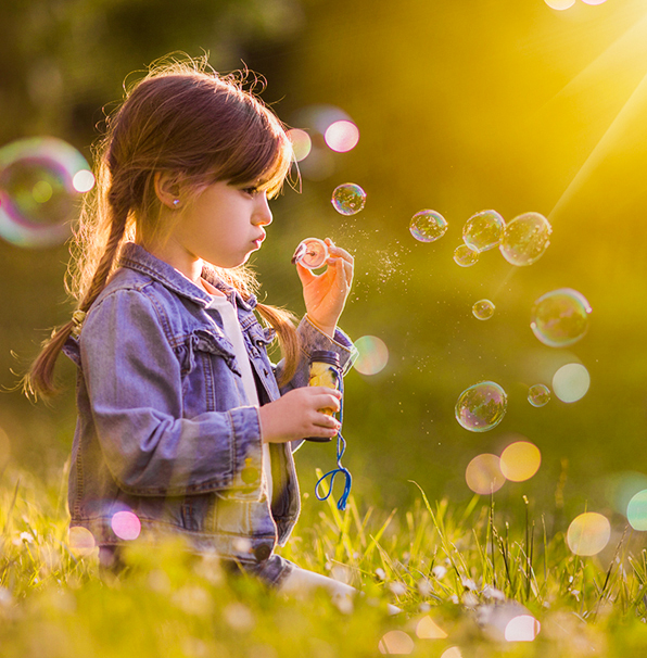 entire collection lightroom presets